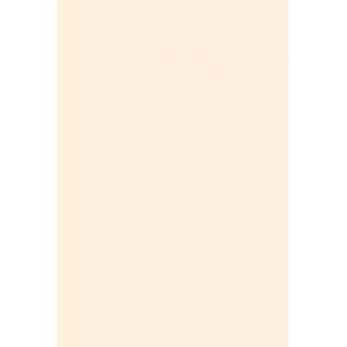 7496 (7315), бежевая, Hardcoat, 2800х1300