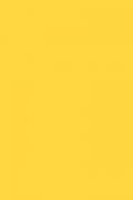 3128 Gloss, 3050x1300x0.7