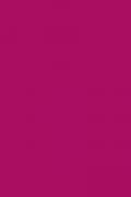 3145 Gloss, 3050x1300x0.7
